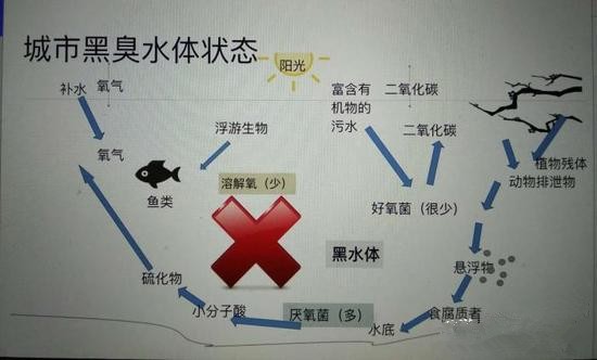 江蘇億元投資治污新技術(shù) 石墨烯能否治理黑臭水體？