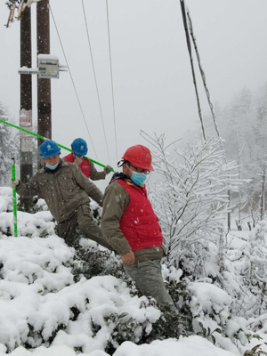 國家電網(wǎng)舉全公司之力戰(zhàn)疫情抗風雪保供電