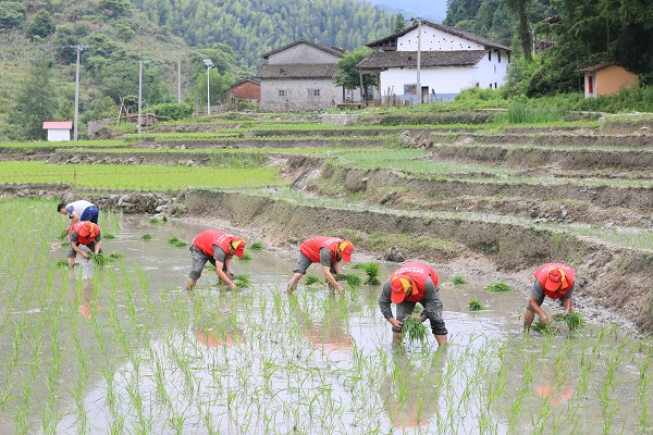 小山村有了大變化——國網(wǎng)樂安縣供電公司精準(zhǔn)扶貧工作側(cè)記