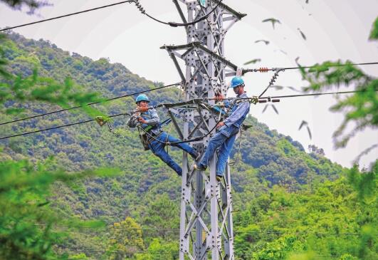 廣東電網肇慶供電局對159條故障高發(fā)線路開展全面改造升級專項行動