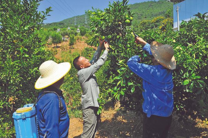 王國洲：把村事當家事，把村民當親人