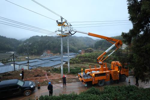 國網壽寧縣供電公司：綠電助推食用菌產業(yè)發(fā)展