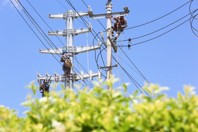 貴州麻江供電局電力賦能 助推地方經(jīng)濟駛入“快車道”