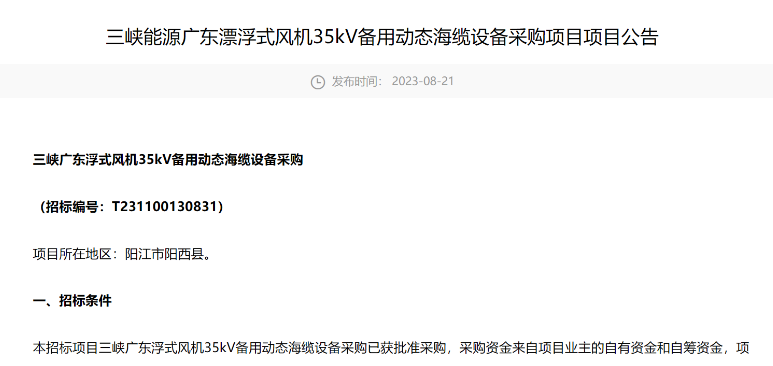 三峽能源廣東漂浮式風(fēng)機35kV備用動態(tài)海纜設(shè)備采購招標