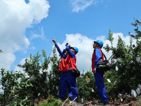 國網會理市供電公司服務三農為民解憂收到錦旗獲贊譽