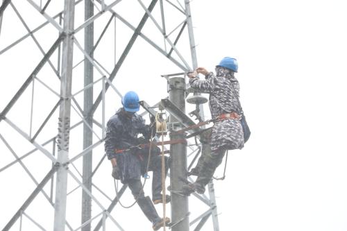 國網(wǎng)壽寧縣供電公司臺風“康妮”過境 冒雨搶修保供電