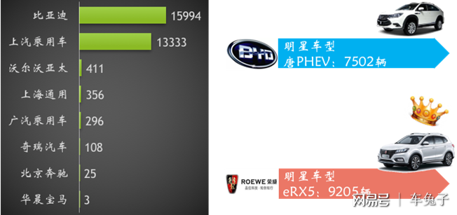 新能源汽車(chē)"純電"銷(xiāo)量稱(chēng)王 插混遭遇瓶頸