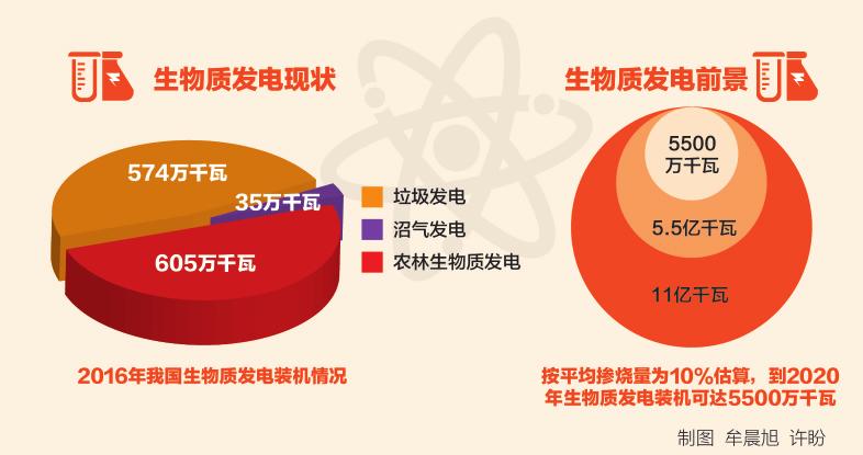 深度丨燃煤生物質(zhì)耦合發(fā)電：煤電轉(zhuǎn)型新路徑